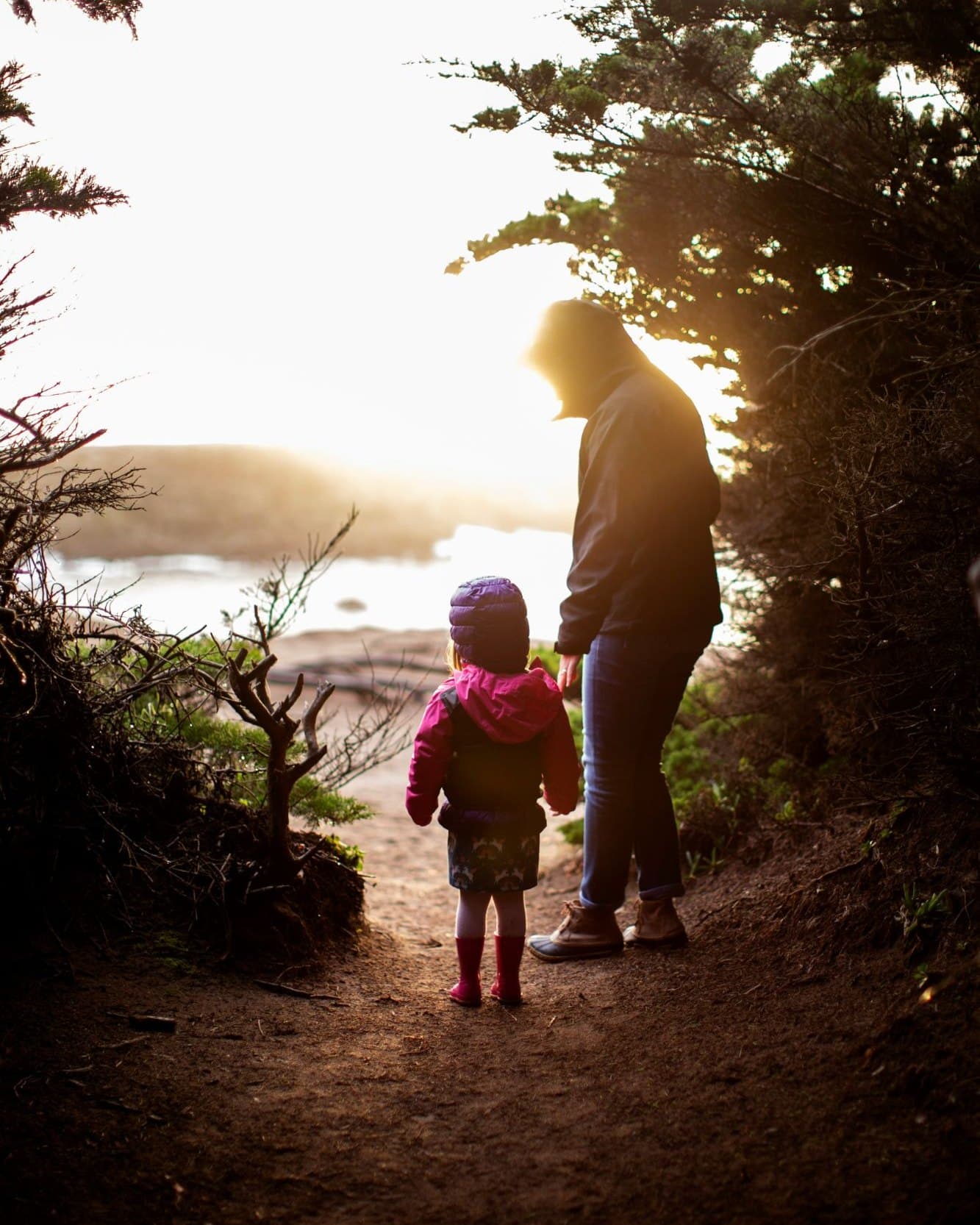 Un adulto y una niña pequeña, de espaldas, caminan de la mano por un sendero que se abre a una orilla iluminada por el sol, con árboles enmarcando ambos lados